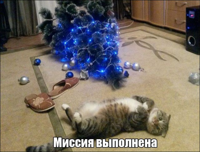 Веселые картинки.