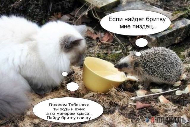 Безудержные животные