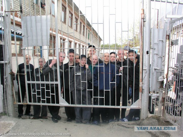 Прокуратура проверяет подростков, надругавшихся над школьницей в Тюмени
