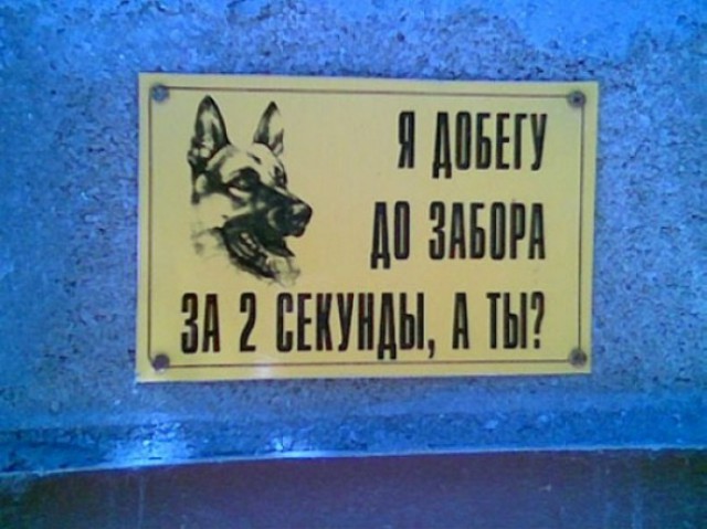 Я понятия не имею, что здесь происходит