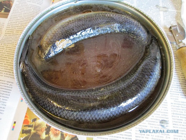 Посиделки под селёдку