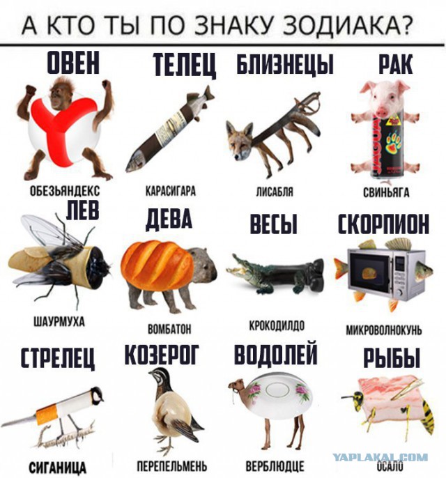 Подборка фот из этих Ваших интернетов