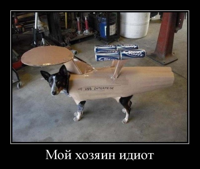 Это была плохая идея оставлять собаку и пылесос на ночь одних