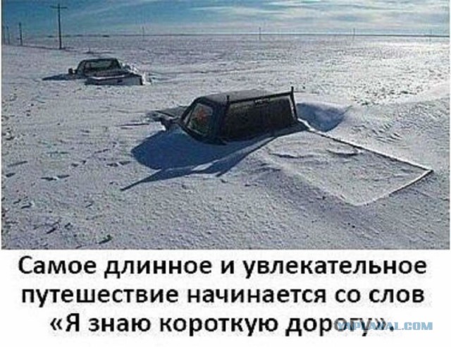 Смешные комментарии из социальных сетей 27.01.2017