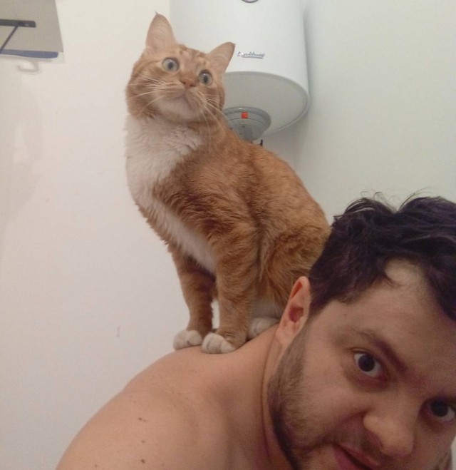Котопёсо суббота