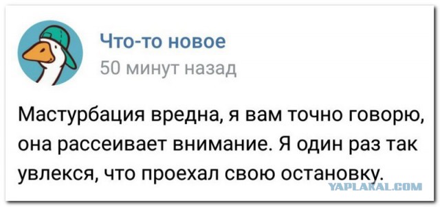Забавные шутки, фразы и комментарии из этих ваших интернетов