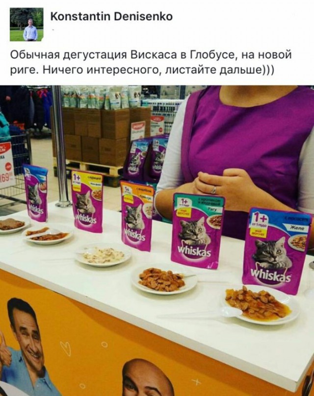 Кошка напала на человека
