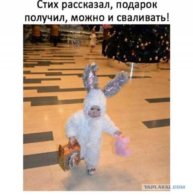 Ну, понеслась! Поздравления с Новым Годом по всей географии ЯПлакалъ!