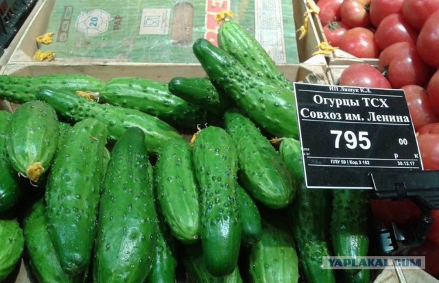 Я хочу назад в СССР . Смотрю и плачу ! так хочется назад