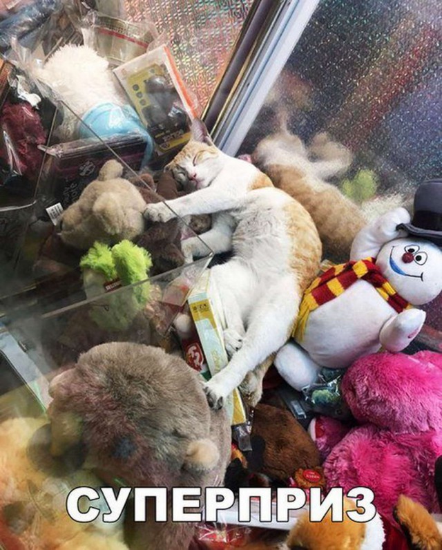 Зарядись позитивом в среду!