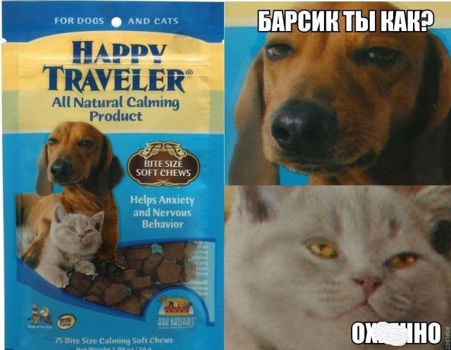 Давайте мозг уже отдохнёт, хорошо?