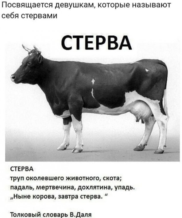 Прикалюхи