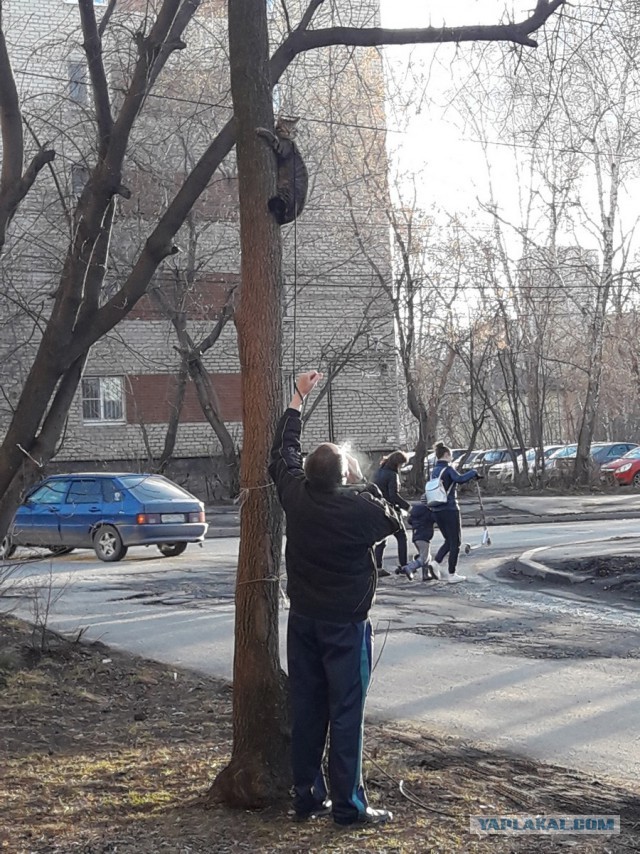 Подборка интересных и веселых картинок