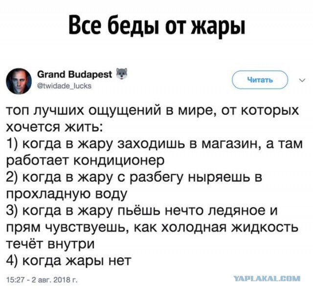 Смешные комментарии из социальных сетей 03.08.2018