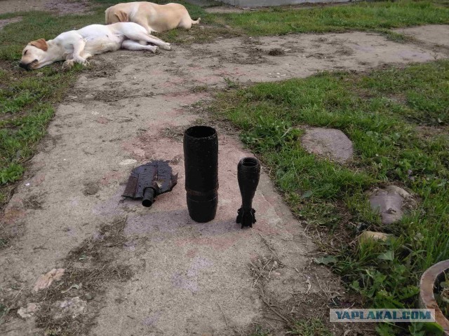Гайку искал на даче. Что-то нашёл, но не то что искал