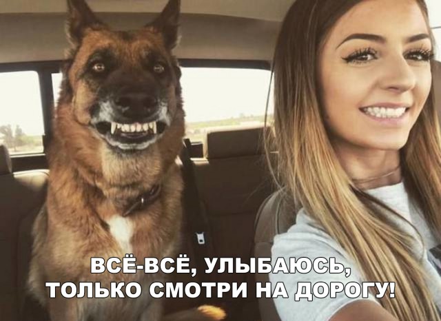 Нестандартный юмор