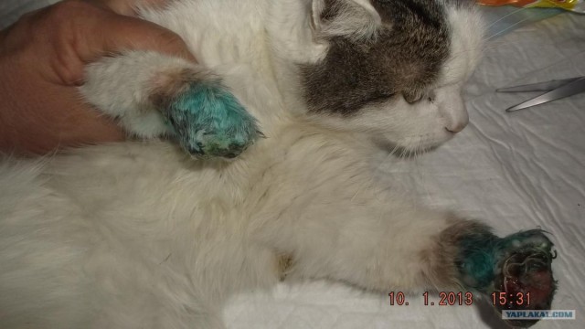 Из России в Германию