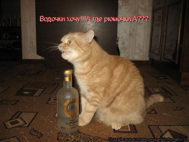 Алкоты
