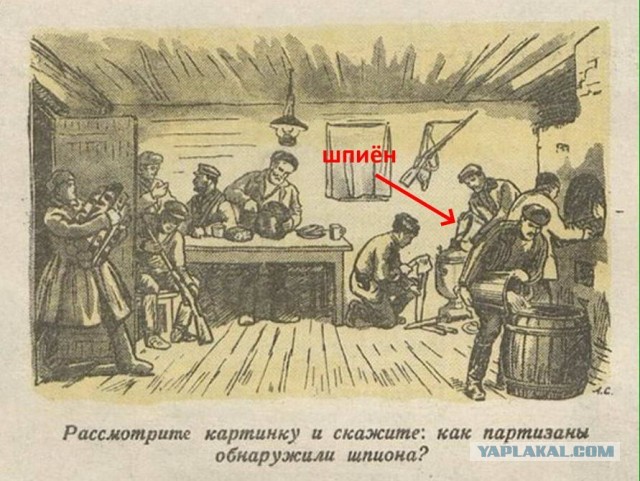 Бредзона в картинках за воскресенье