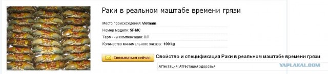 Трудности перевода