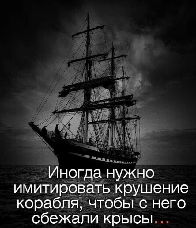 Панин заявил, что ноги его не будет в России
