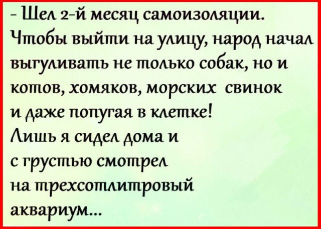 Чуток картинок 06.04.20