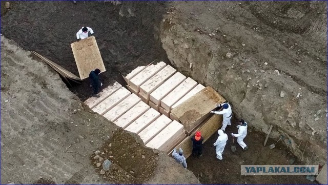 Чудо или когда помощь от государства действительно реальна