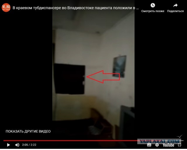 Мы готовы к пандемии, говорили они