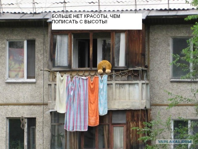 Конкурс: подпись к картинке