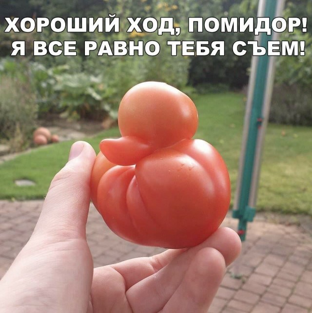 Так себе картинки 03.07.20