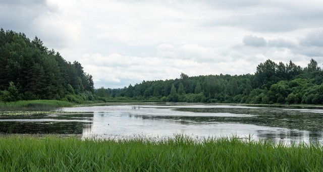 Деревенская Америка - 7