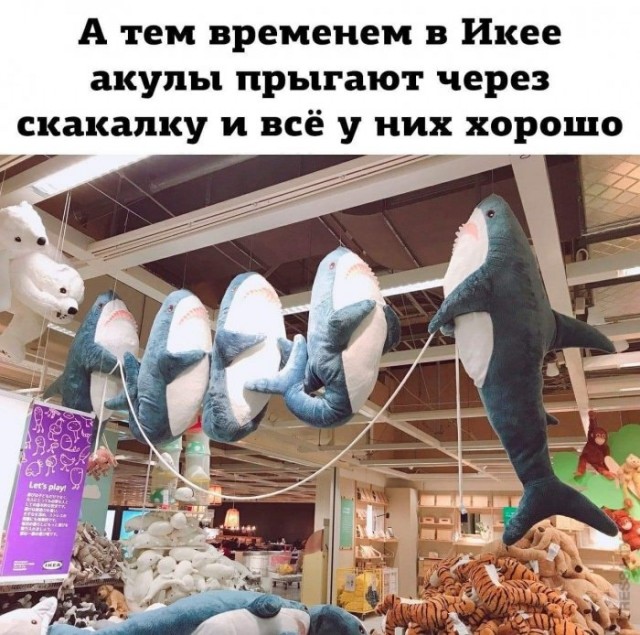Немного картинок для настроения 07.11.20