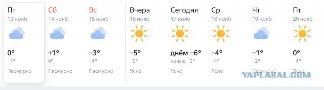 Страшные кадры с берега озера в Нижнем Новгороде — на них вы увидите последние минуты жизни человека
