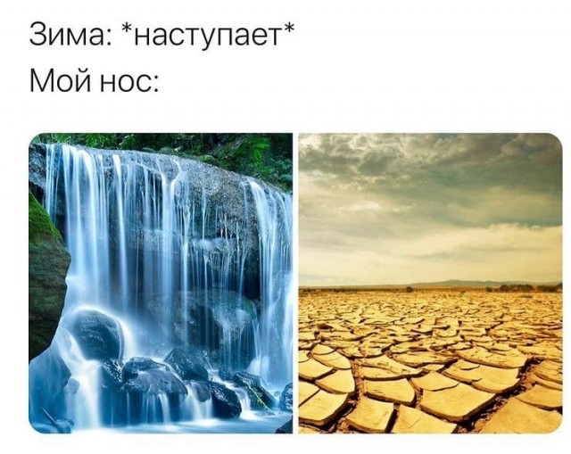 Кретинизмы из сети 02.01.2021. Типа новогодние