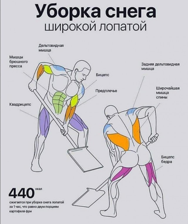 Бедные москвичи