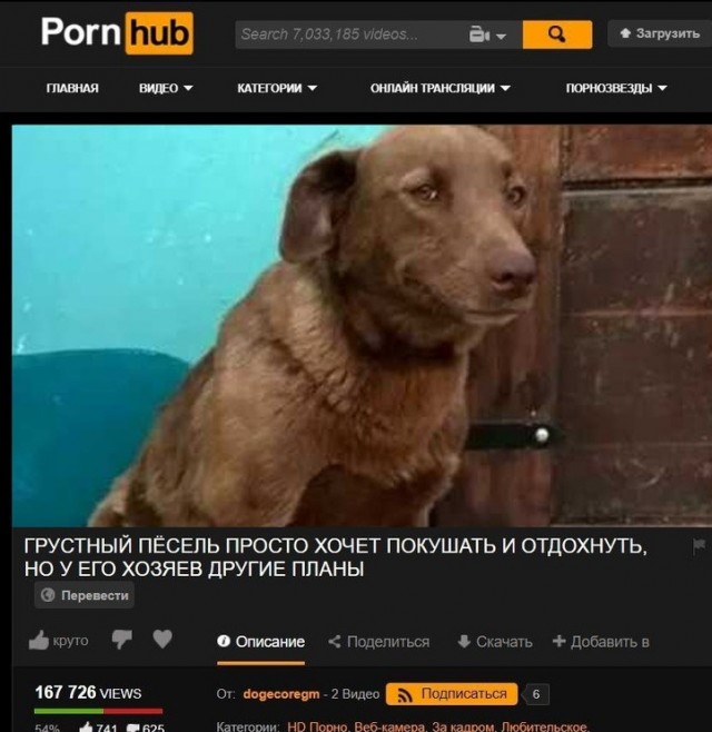 Картинки и мемы для настроения