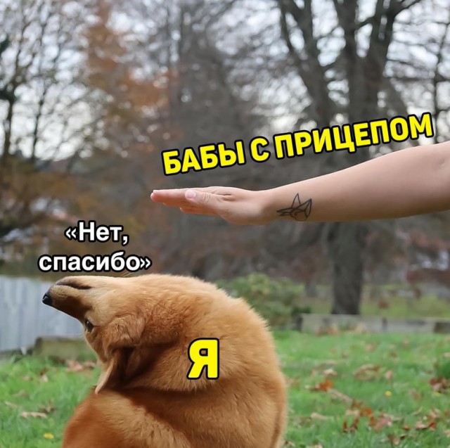 Весёлый полтишок 2.06.2021