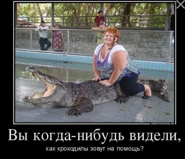 Картинки всякие 04.07.21