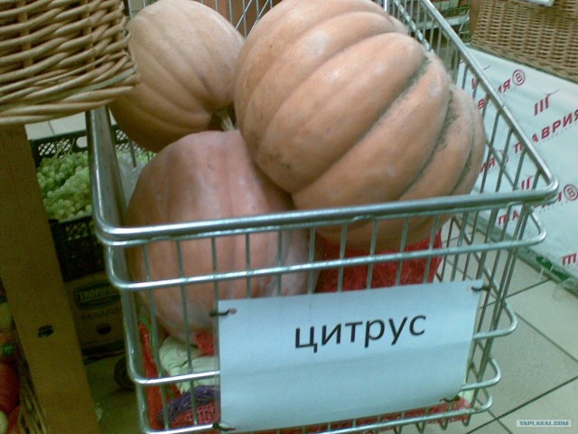 Пятничные посиделки на теплотрассе (с)