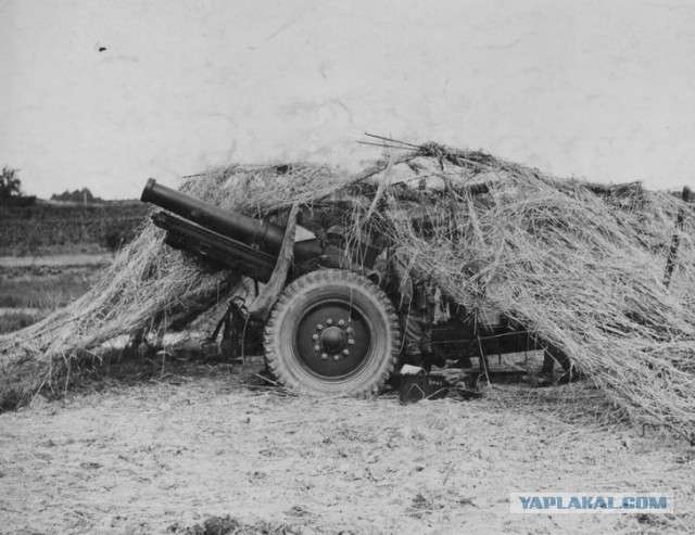Короли перевоплощения: 16 шедевров военной маскировки