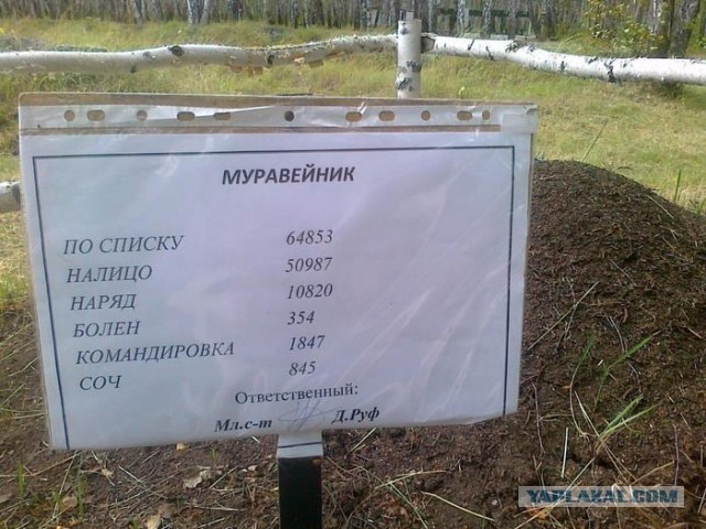 Без совещаний