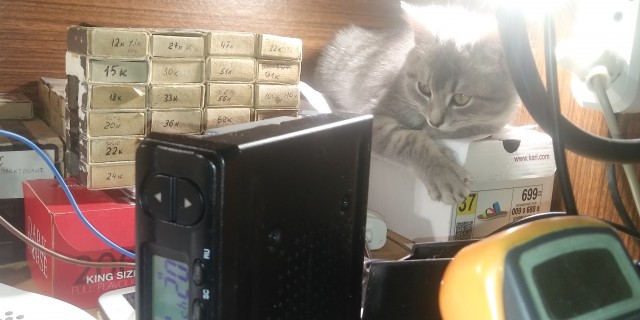 Оно само пришло!