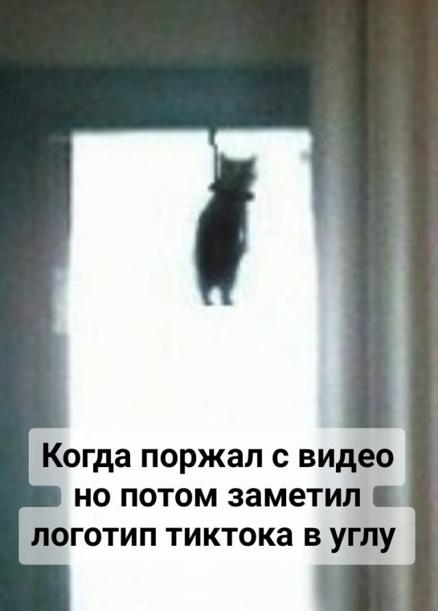 Чем богаче, тем жаднее…