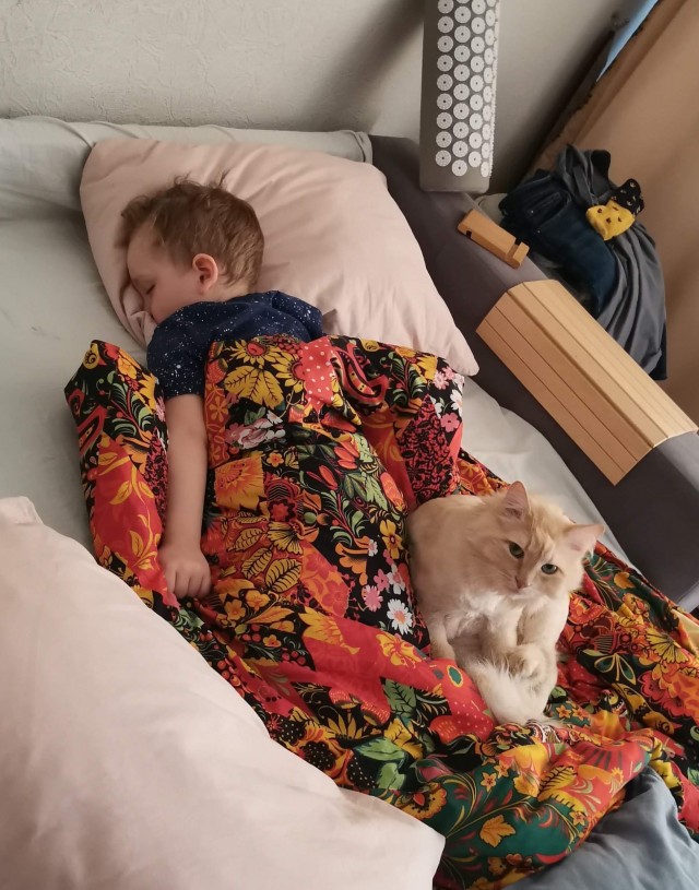 Котовторник 25.01.22