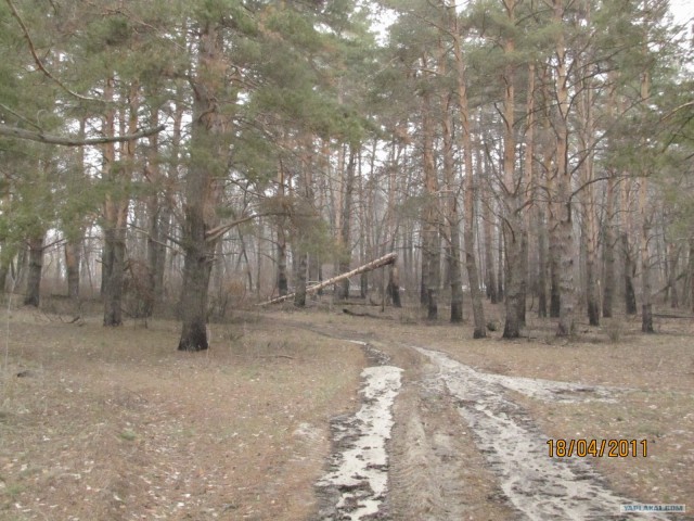 Небольшой поход