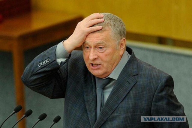 Весёлый полтишок 28.02.22