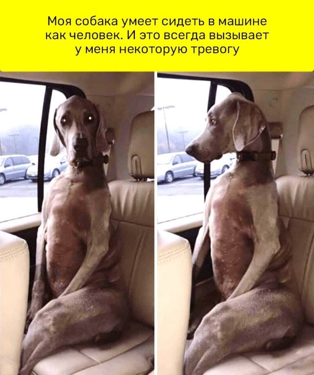 Так себе картинки 08.03.22