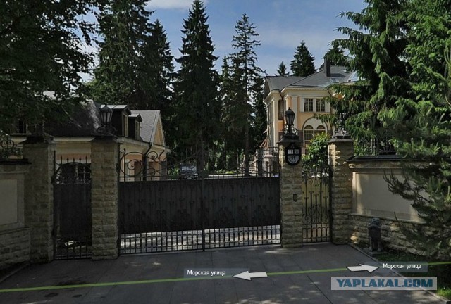 Куда делся Невзоров?