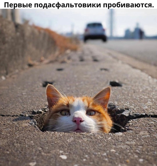 Так себе картинки 09.04.22