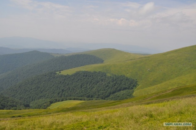 Карпаты 2011